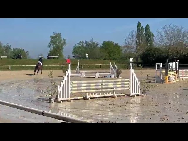 Jument 4 ans Nero's Clindine B.B