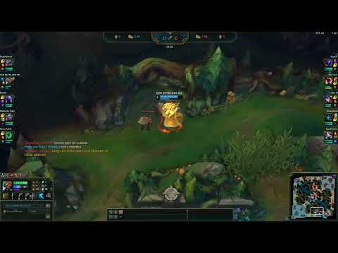 INSEC DE UDYR-DARIUS FORJA