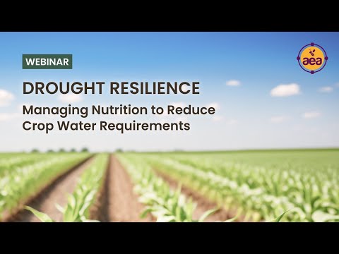 Drought Resilience: Managing Nutrition to Reduce Crop Water Requirements