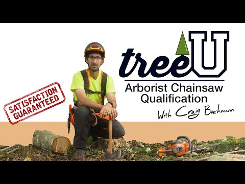 YouTube Thumbnail Wy753lyZaBo