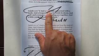 Isaiah 11:6 Is Wolf,  Mandela Effecting Bible Debunked, It Was Always Wolf!