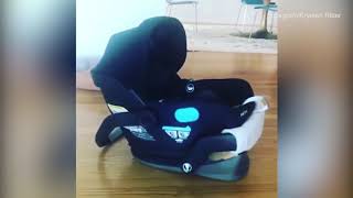 Video: Krysten Ritter's dog looks unamused after seeing new baby car video