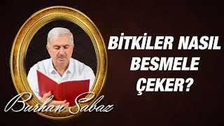 Dr. Burhan SABAZ(Kısa) - Bitkiler nasıl besmele çeker