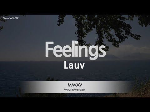 Lauv-Feelings (Karaoke Version)