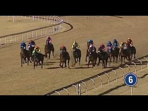 RIVARINE - Computaform Sprint Gr1