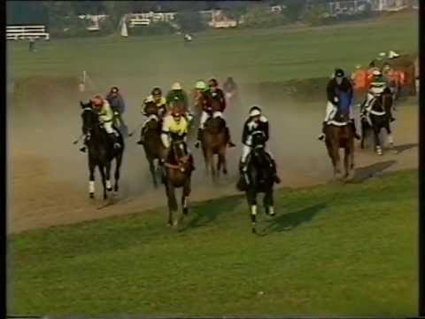 1990 Velká Pardubická Steeplechase