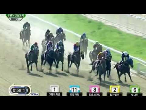 Gyeongnam DoMin Ilbo Cup Nobel Pokpung.wmv