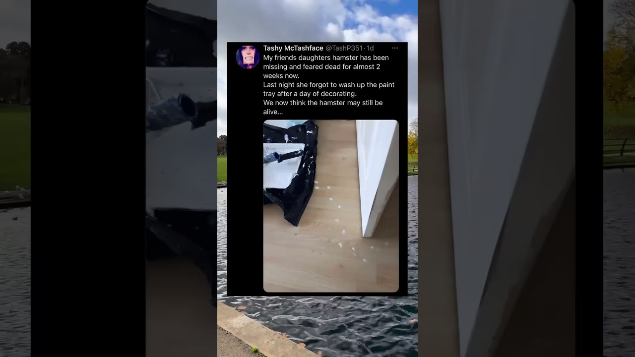 They Found The Missing Hamster Like THIS 🐹😱 #FunnyAnimals #PetStories