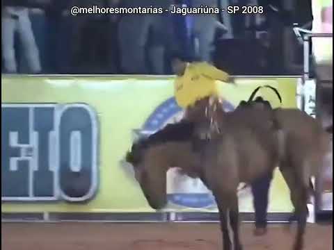🇧🇷 Clodovir Palata Jr x Dama da Noite - Rodeio de Jaguariúna 2008 #rodeio #cutiano