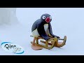 Pingu Is On Vacation Pingu Official Channel Cartoons For Kids