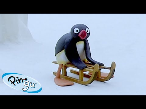 Pingu is on Vacation 🐧 | Pingu – Official Channel | Cartoons For Kids - Kids (0-4), Kingdom Kids Zone - Pingu - Official Channel