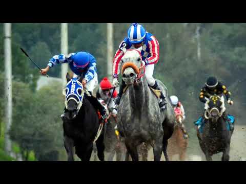 EL SANTO - Por México En La Copa Confraternidad 2021