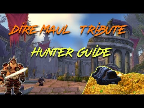 Classic Wow Dire Maul Tribute Solo Hunter Guide