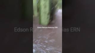 La realidad de La Joyita de la piscina en Moca