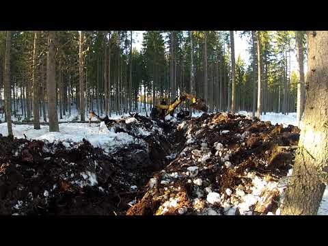 Metsäojan kaivelua 2019 osa 2 Kuusen kaato