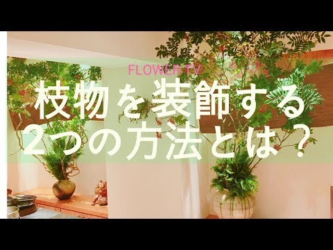 装飾的なナナカマド 植物