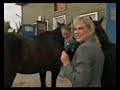 Vinnare V75 1998 09 26 Intro