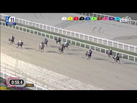 Fly Top Queen - October 12, 2013