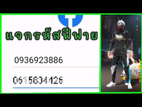 ฟีฟายฟรี
