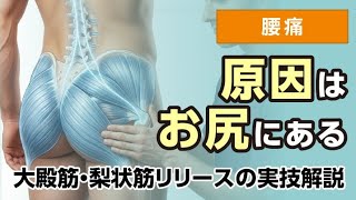 【腰痛治療】臀部を緩ませれば腰痛は変わる｜大殿筋・梨状筋リリースの実技解説」