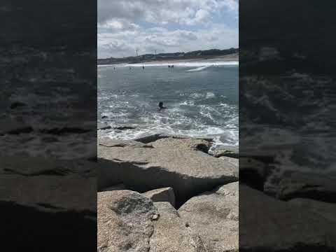 公海上の危険:謎の怪物波が研究者を驚かせる