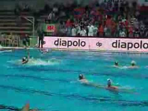 Teva VASAS - ZF EGER