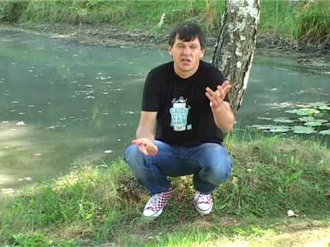 Zlatko Nedeljko Pepsi - Godina 1966