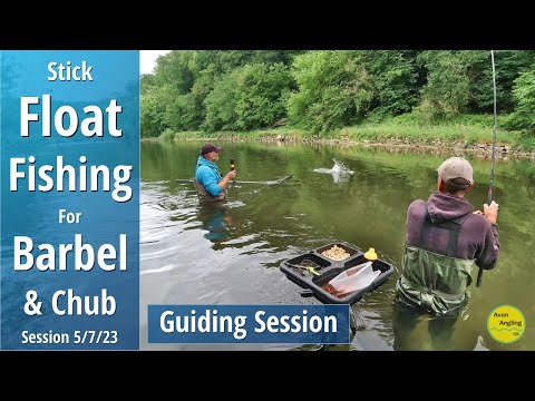 Float Fishing For Barbel & Chub - A Fantastic Day's Trotting - River Wye Guiding Session - 5/7/23