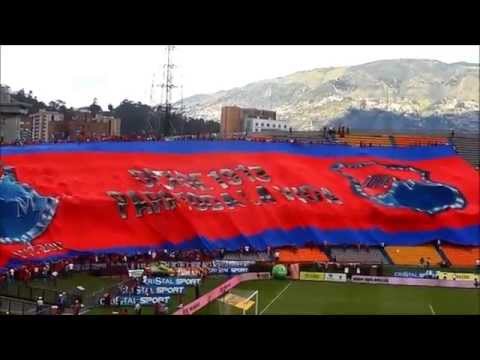 "Equipo eliminado, hinchada campeona" Barra: Rexixtenxia Norte • Club: Independiente Medellín