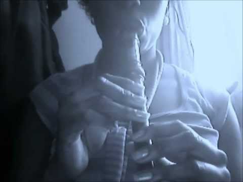 Justin Bieber- Boyfriend (on recorder)