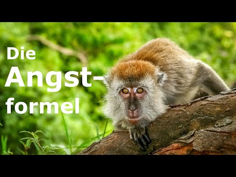 Die Angst-Formel – hilft eine Formel Entscheidungen um Risiken und Ressourcen zu treffen?