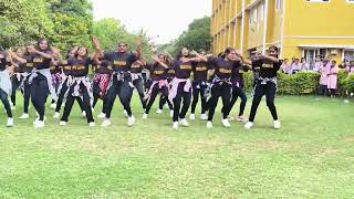 MIETW Students Flash Mob | Megha Carnival 2k24