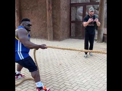 Blessing awodibu vs Liger (Man vs Lion)