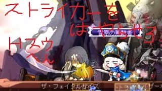 メイプルストーリー　Hスウソロ　ストライカー