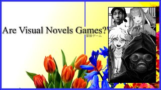 Are Visual Novels Video Games | Video essay