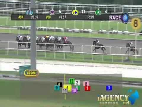 SINGAPORE RACE 01/12/2013 RACE 1 - iAgencyNet.com