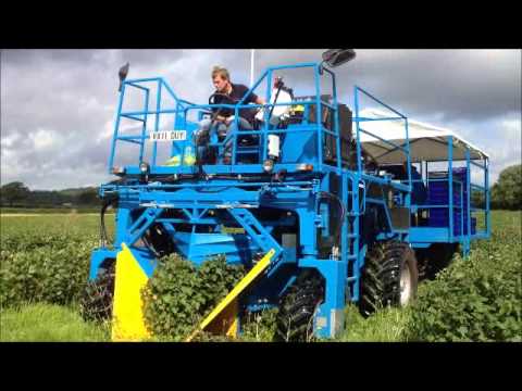 SFM Samson ягодо-уборочный комбайн