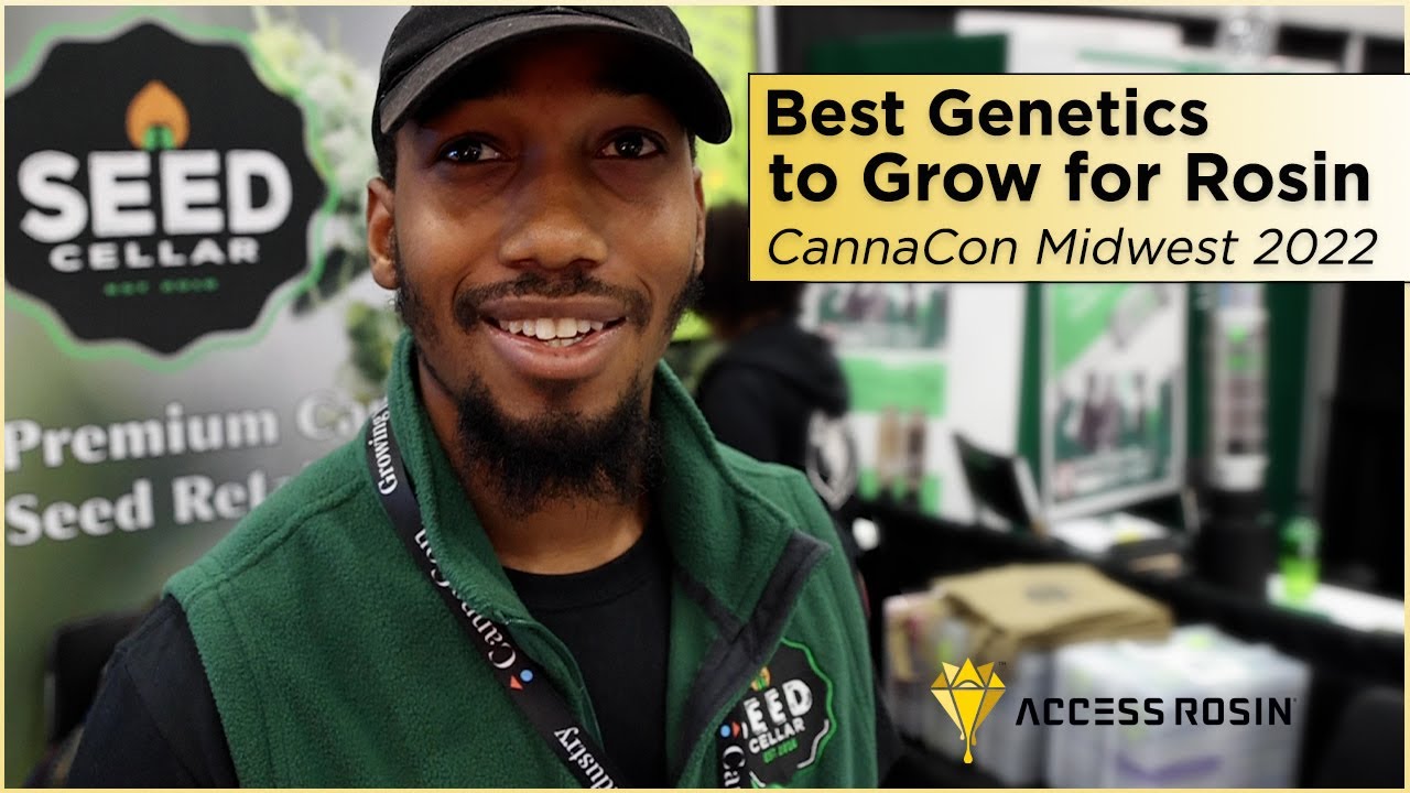 Best Genetics to Grow for Rosin - CannaCon Midwest 2022 | Access Rosin ®