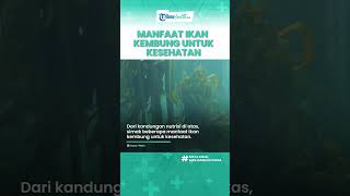 Kaya akan Omega 3, Konsumsi Ikan Kembung Bagus untuk Tubuh