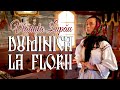 Vlăduța Lupău Duminica La Florii Priceasnă