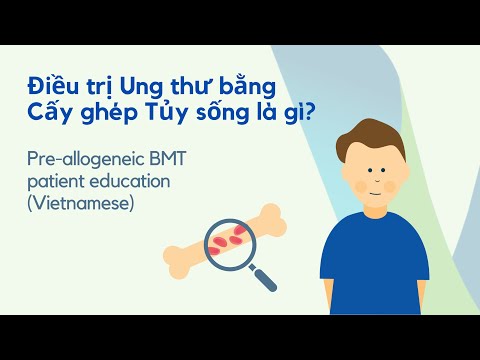 5 Educação pré-alogênica sobre transplante de medula óssea (vietnamita)