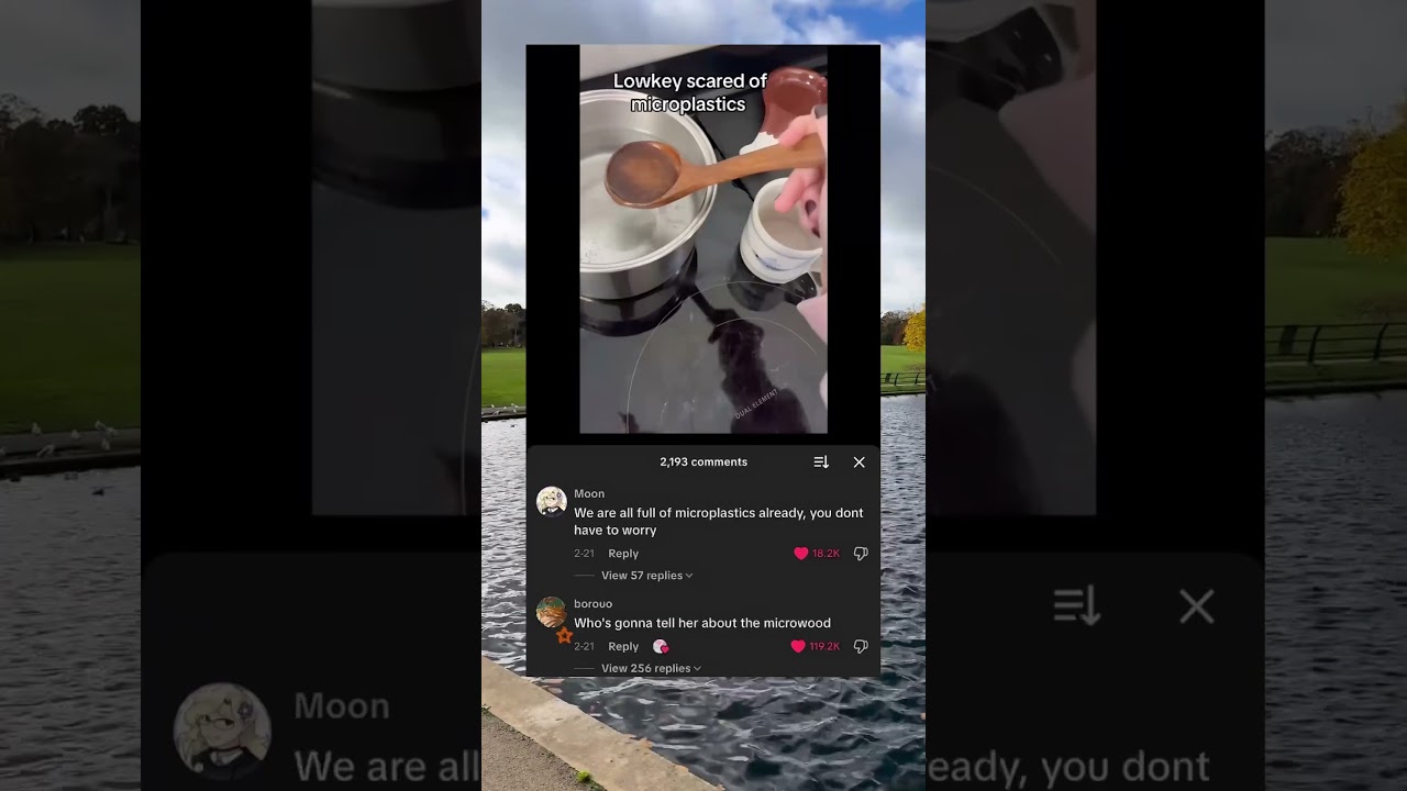 Wait Till She Finds Out About Microwood 💀🪵 #FunnyComments #HealthTips