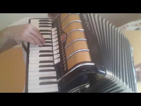 Karlo Bozic - Nije zivot jedna zena (harmonika)