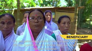 Success Story on Cluster Approach of the activities under WDC-PMKSY 2.0 of Morigaon District, ASSAM;?>
