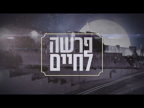 שווה לעבוד איתנו פרשה לחיים ויצא 