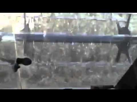 Cosechando en villameriel .