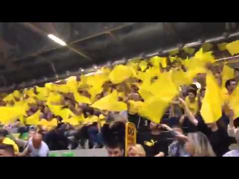 A1Mvolley quarti gara2 - Coreografia gialloblu