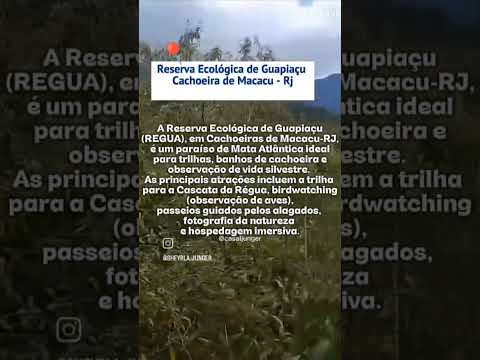 um paraíso em cachoeira de Macacu Rj. Reserva Ecológica de Guapiaçu (REGUA)