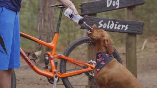 Trail Dogs by Morvélo Bicycle Apparel