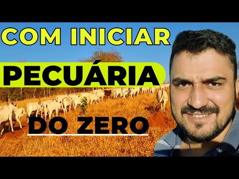 , title : '05 Dicas para Iniciar na Pecuária do Zero'